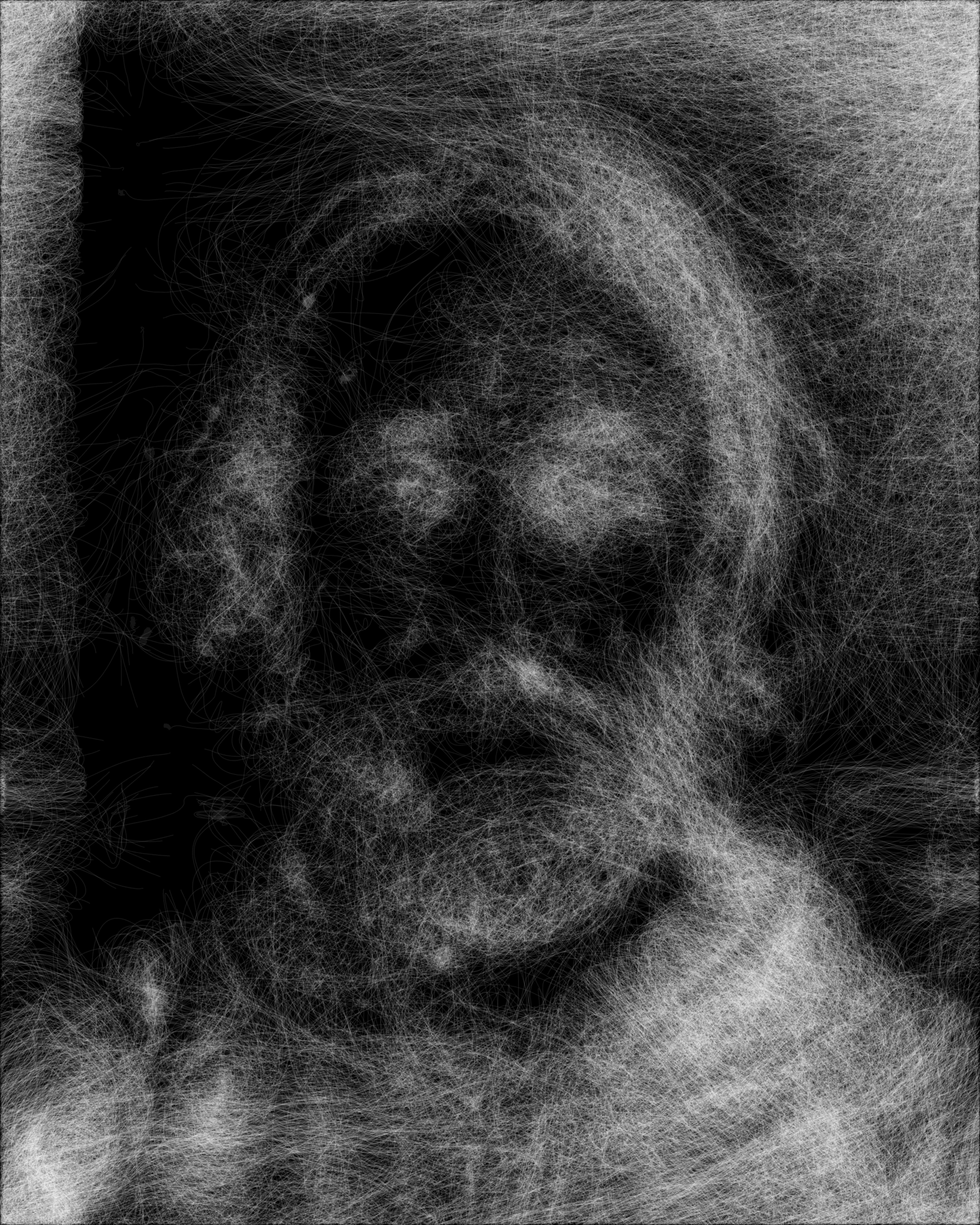 Self portrait drawn with thousands of faint white particle trails on black